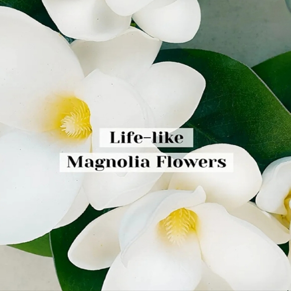 New Magnolia Wreath with Wreath Hanger - Picture 3 of 15